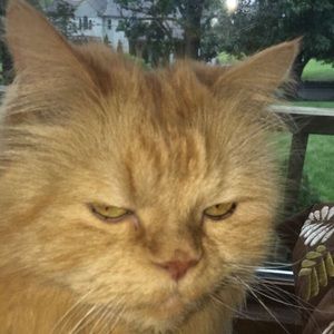 Meet your Posher, Jayden